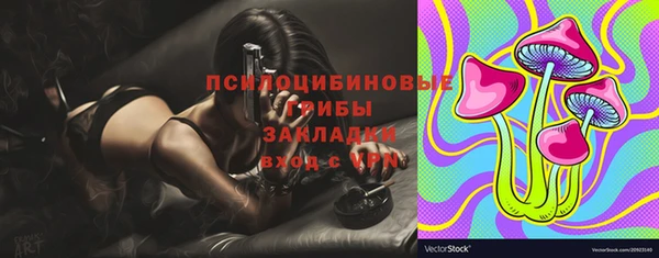 apvp Нефтекумск